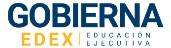 Gobierna EdeX